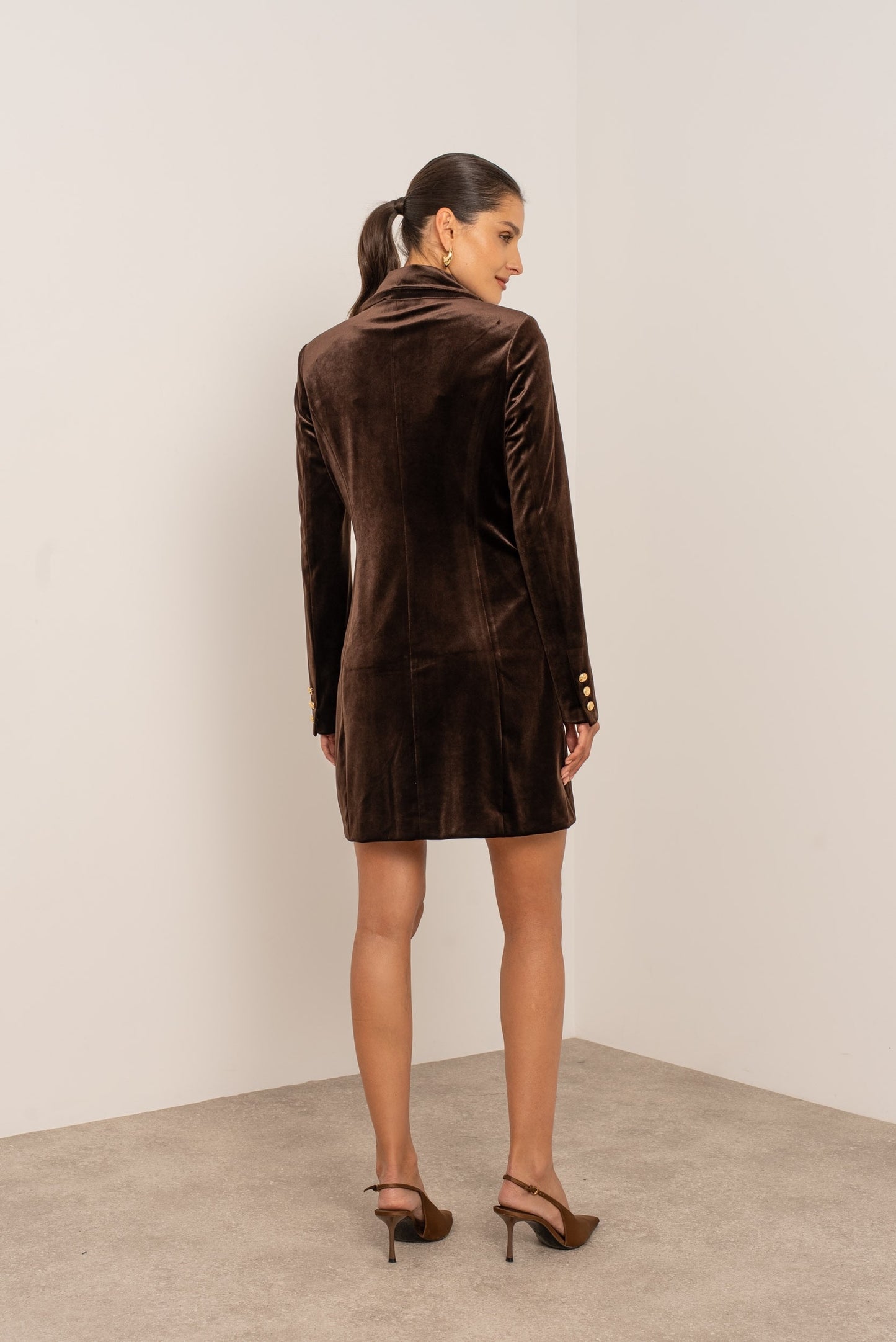 Odile Velvet Blazer Dress