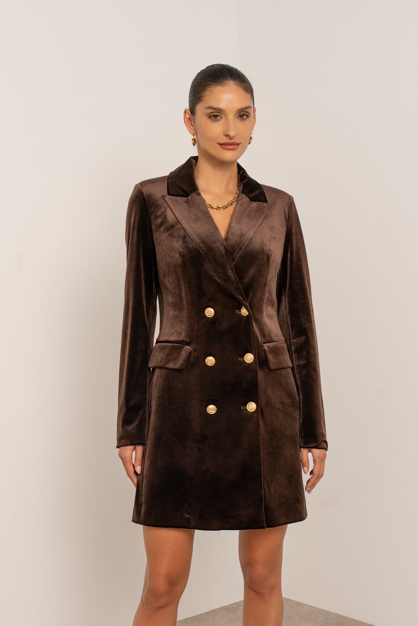 Odile Velvet Blazer Dress